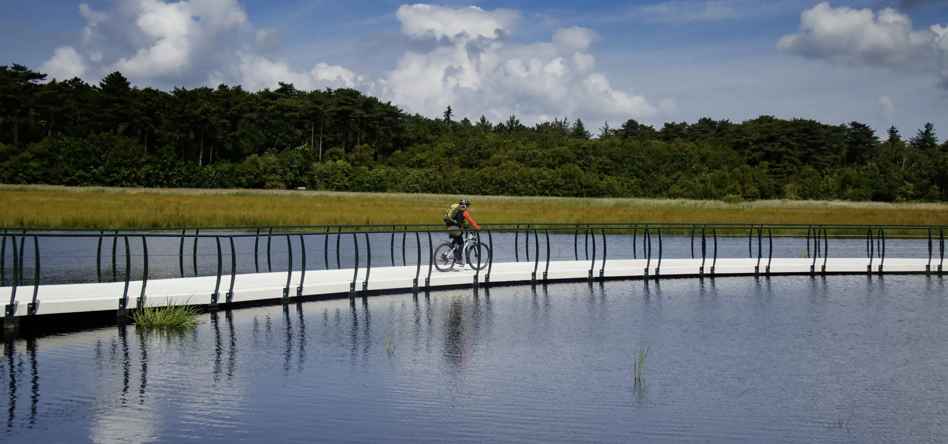 Coogherveld Camping Omgeving fietsen